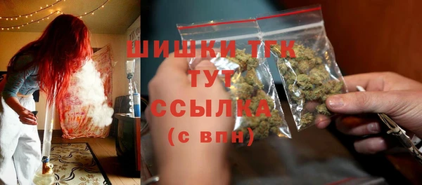 гидра Балахна