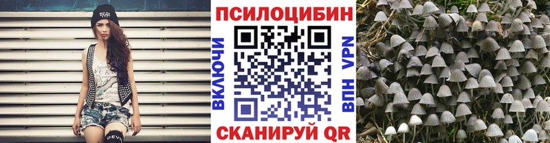 Купить закладки Октябрьск Псилоцибиновые грибы GOLDEN TEACHER